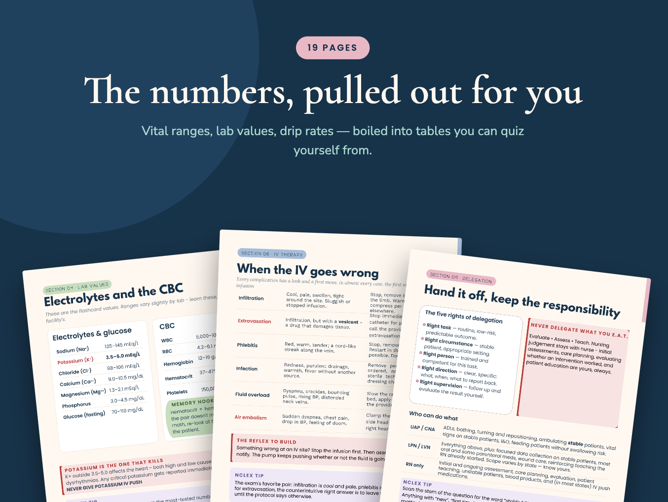 PRINTED and SPIRAL BOUND New Grad/Nursing Student Nurse Essentials: All-In-One Guide for Assessments, Vitals, Labs, and Meds