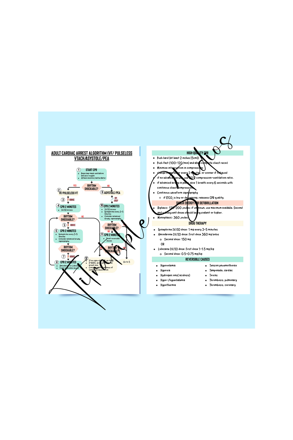 ACLS badge buddy printable cardiac arrest algorithm badge card mockup