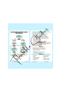 ACLS badge buddy printable cardiac arrest algorithm badge card mockup