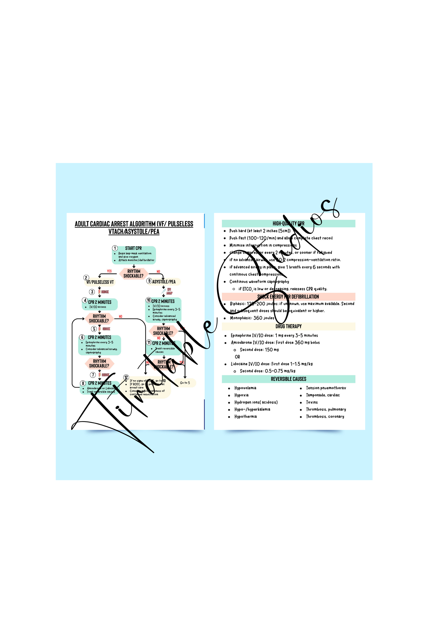 ACLS badge buddy printable cardiac arrest algorithm badge card mockup