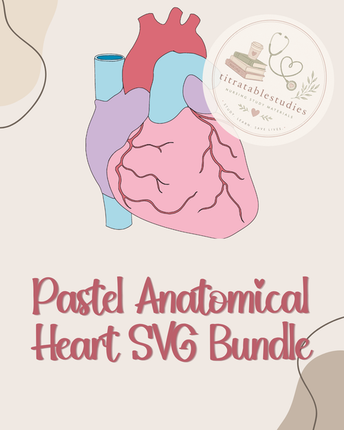 Anatomical heart illustration mockup in frame